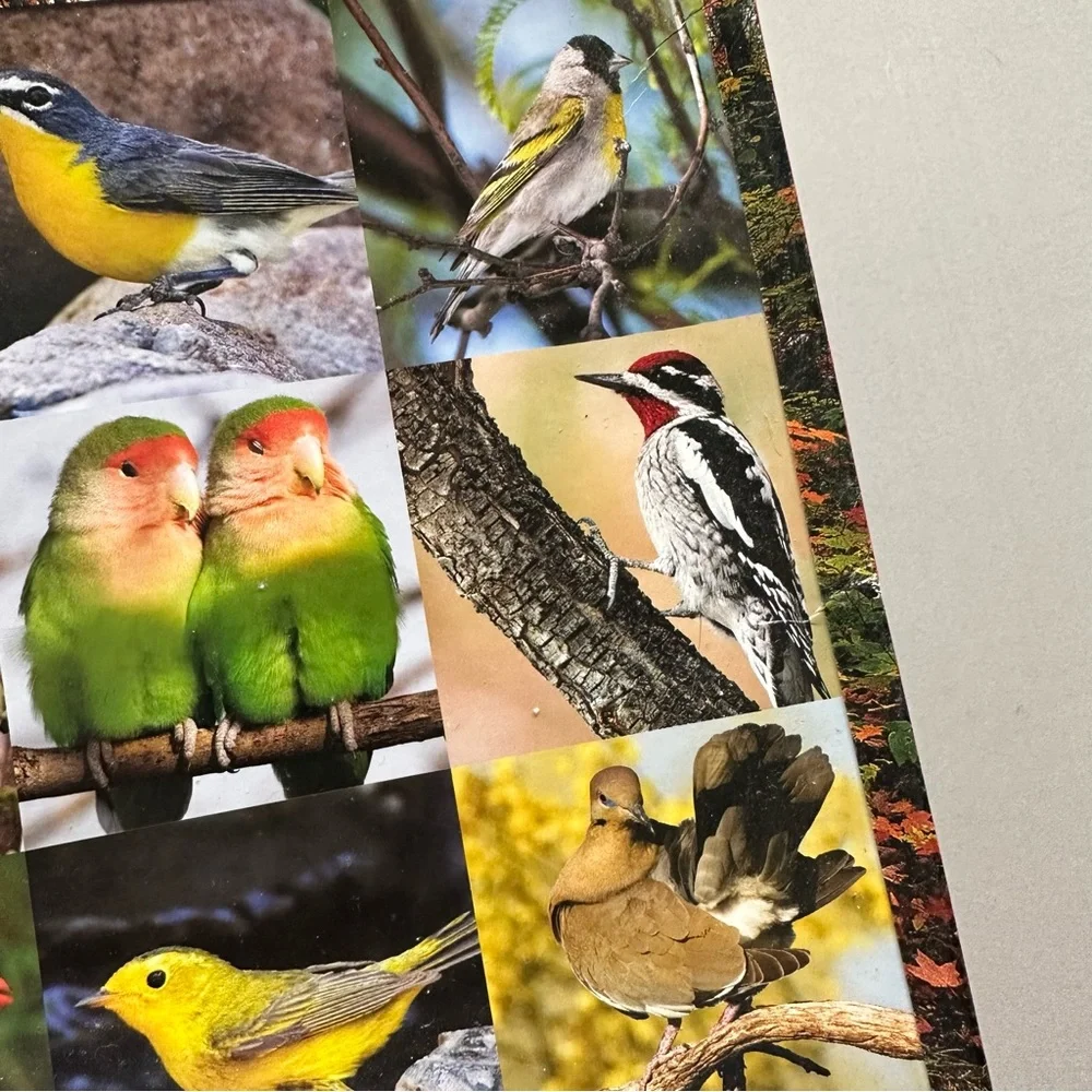 SPRINGBOK 500pc Wild SongBird jigsaw puzzle